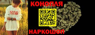 прущие крисы Камышлов