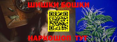 прущие крисы Камышлов