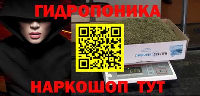 прущие крисы Камышлов
