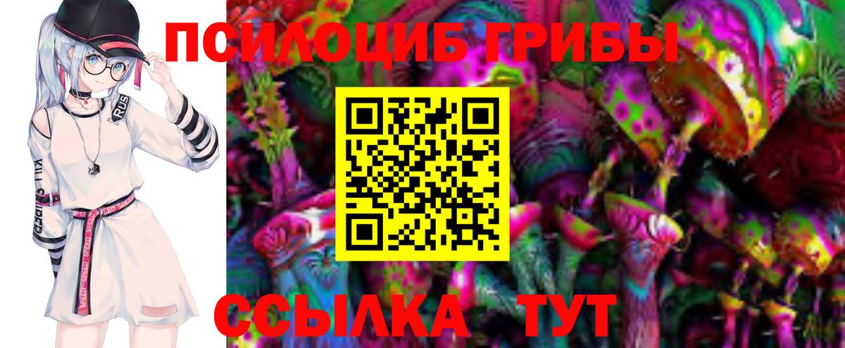 Псилоцибиновые грибы Cubensis  Урай  Псилоцибиновые грибы Psilocybe 