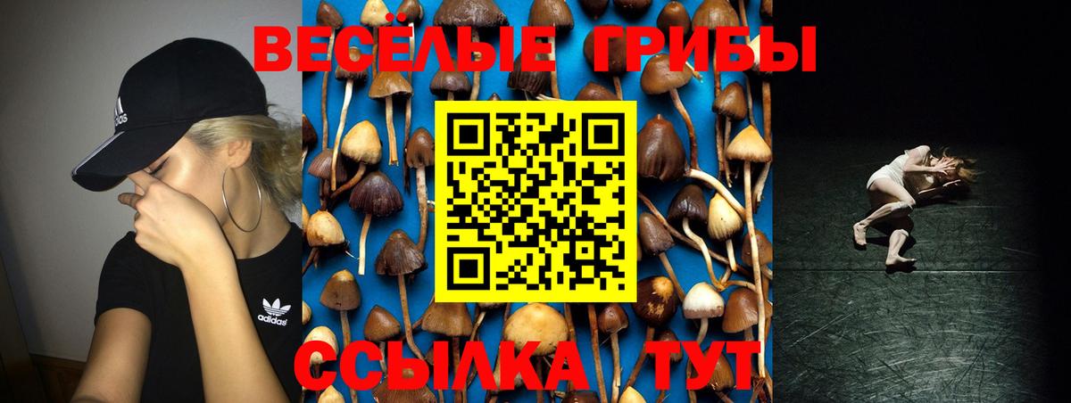 Галлюциногенные грибы Psilocybine cubensis Урай